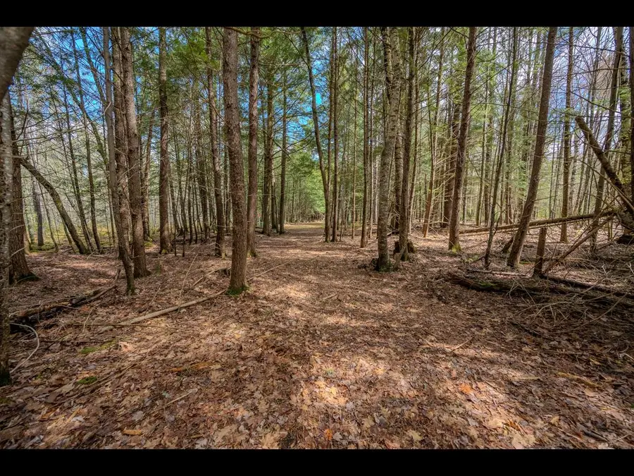 Lot 21 Bonita Pt, Three Lakes, WI 54521 - #2