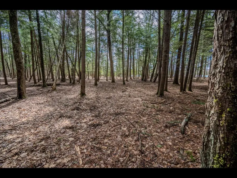 Lot 21 Bonita Pt, Three Lakes, WI 54521 - #3