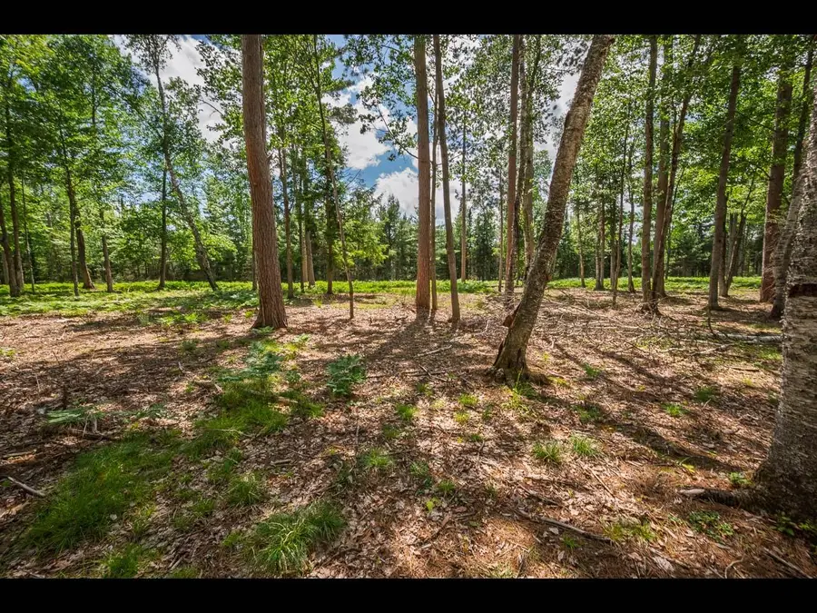 Lot 160 Clearwater Lake Tr, Eagle River, WI 54521 - #2