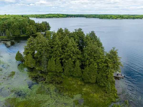 Off Boy Scout Island Rd, Watersmeet, MI 49969