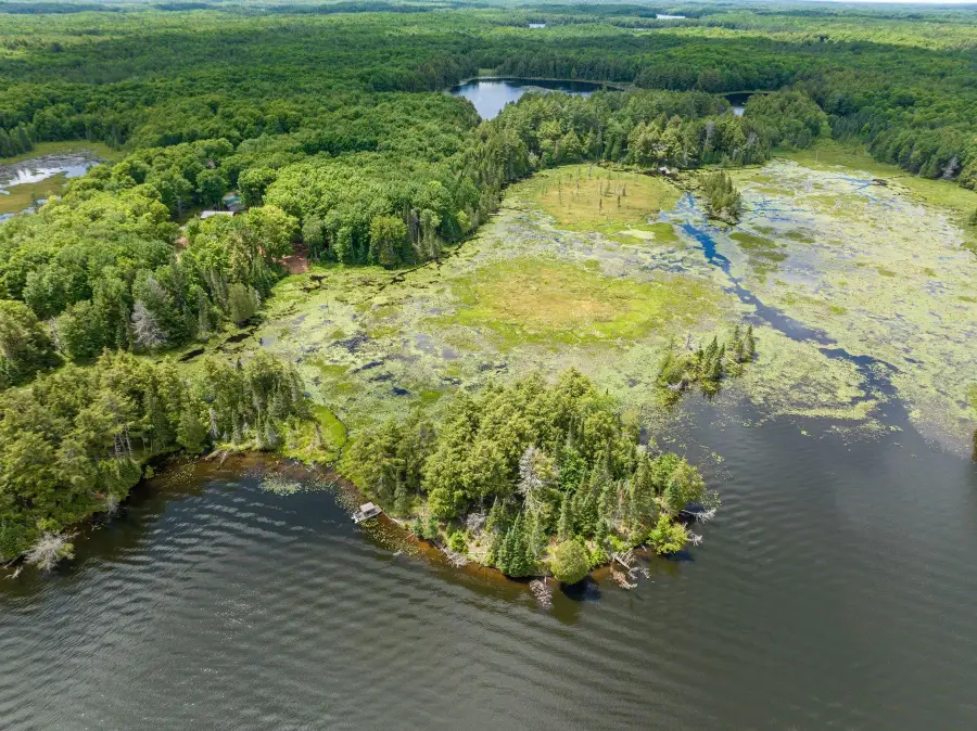 Off Boy Scout Island Rd, Watersmeet, MI 49969 - #3