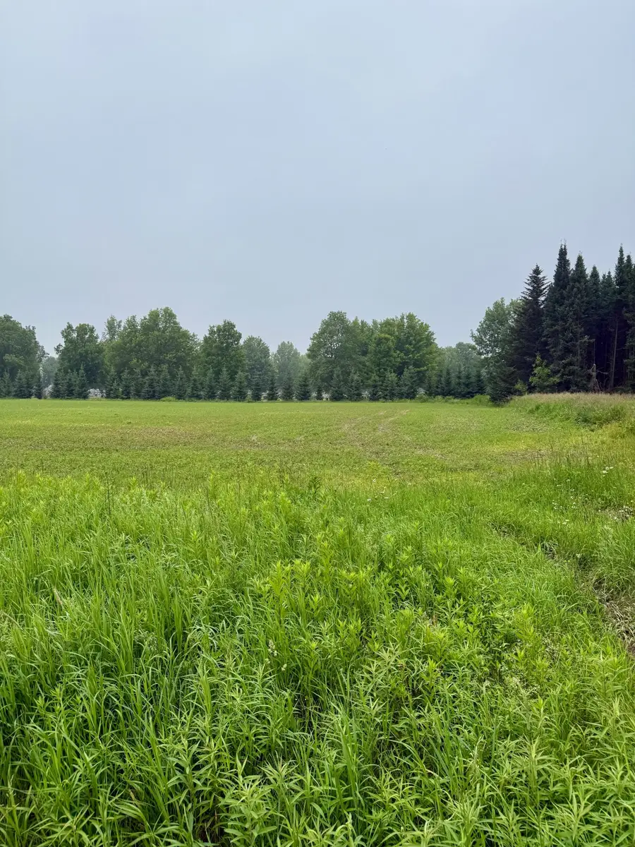 304 8th Ave E E, Antigo, WI 54409 - #3