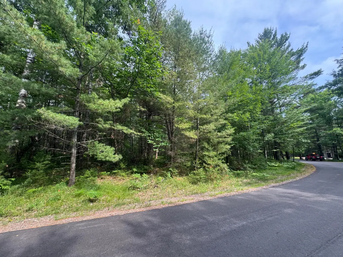 Lot #288 Ridgewood Dr, Minocqua, WI 54548 - #1