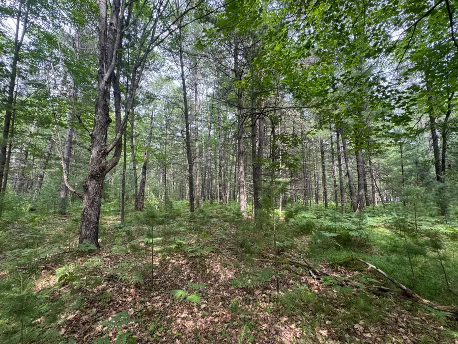 Lot #288 Ridgewood Dr, Minocqua, WI 54548 - #2