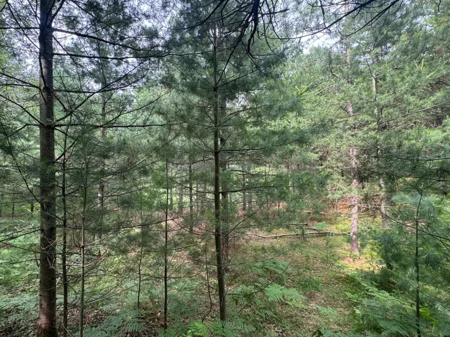 Lot #288 Ridgewood Dr, Minocqua, WI 54548 - #3