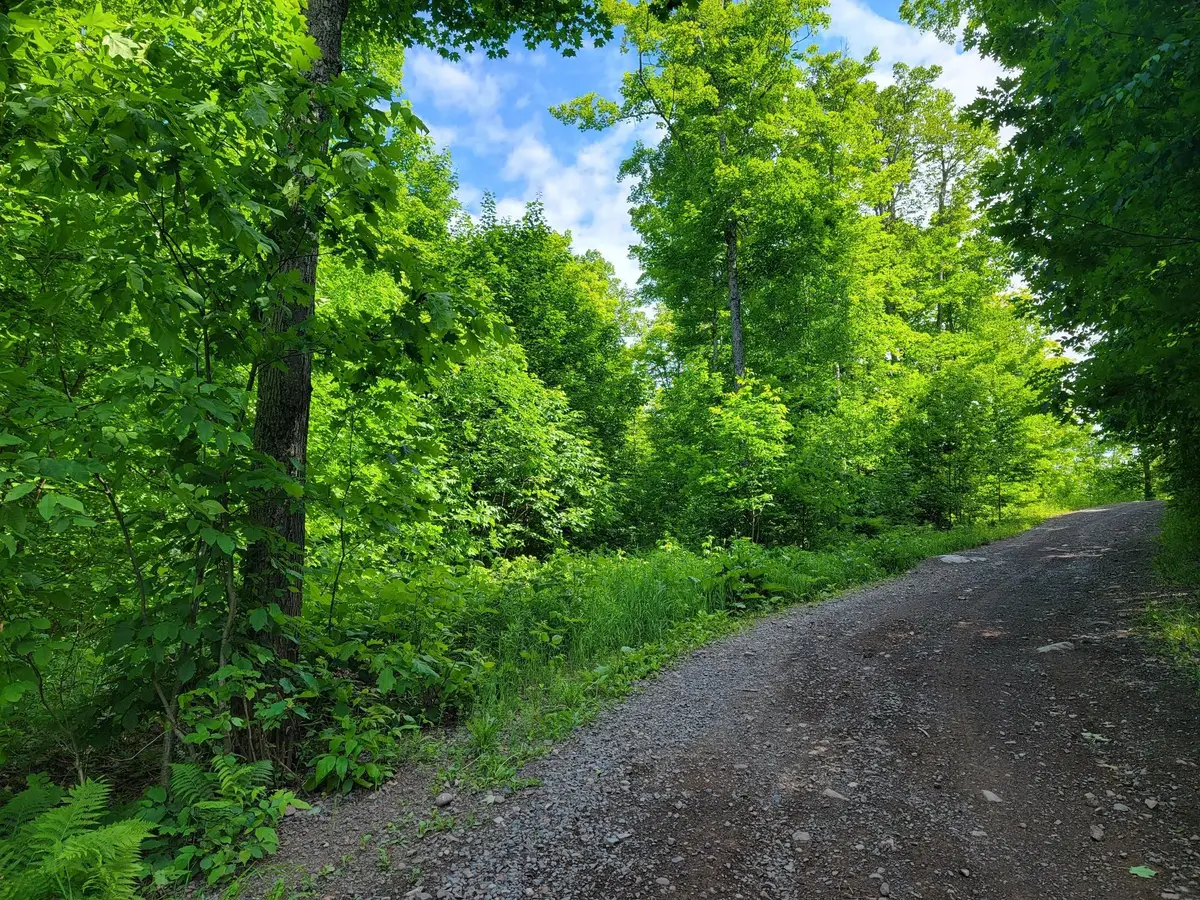 Lot 14 Alpine Shores Dr, Upson, WI 54565 - #1