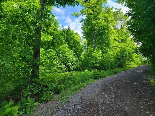 Lot 14 Alpine Shores Dr, Upson, WI 54565