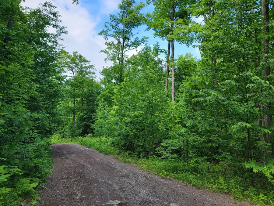 Lot 14 Alpine Shores Dr, Upson, WI 54565 - #2