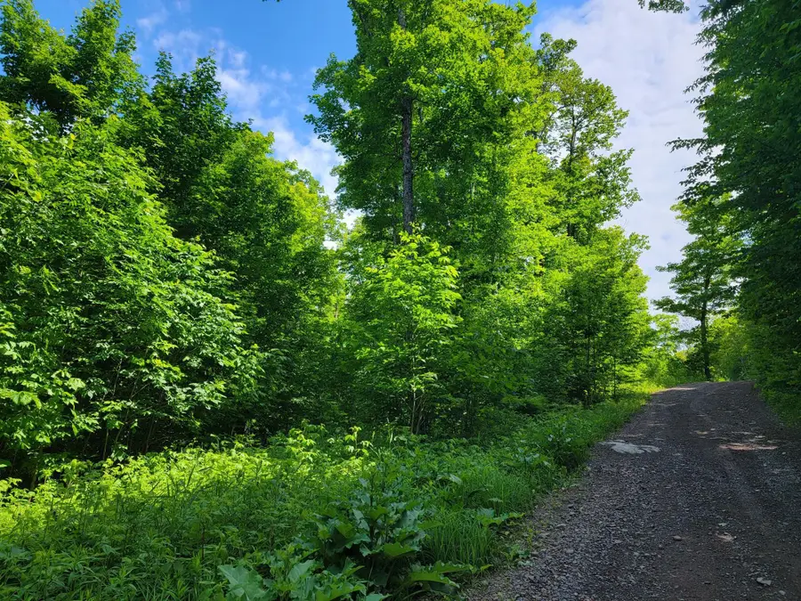 Lot 14 Alpine Shores Dr, Upson, WI 54565 - #3