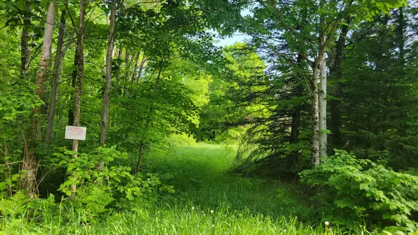 ON Doland Rd #28Acres, Winter, WI 54896
