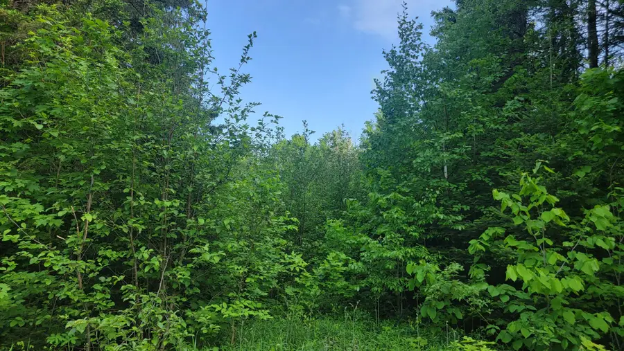 ON Doland Rd #28Acres, Winter, WI 54896 - #2