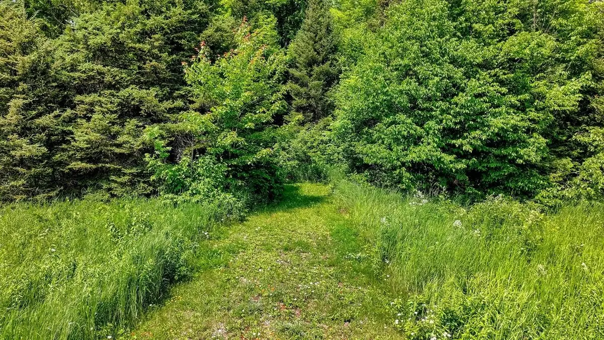 60 Acres Hwy 51, Oma, WI 54534 - #1