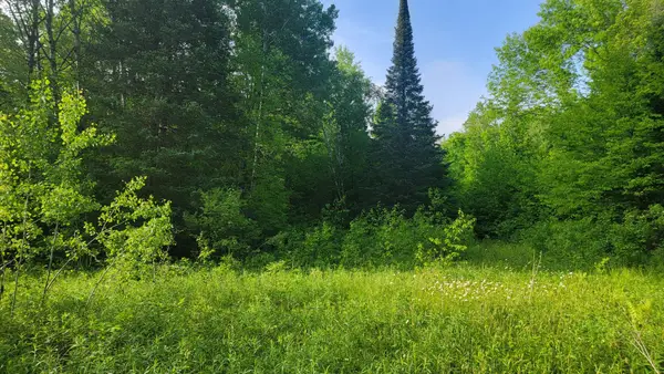 ON Doland Rd #40Acres, Winter, WI 54896