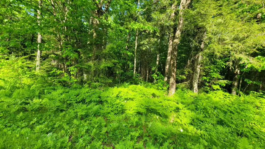 ON Doland Rd #40Acres, Winter, WI 54896 - #3