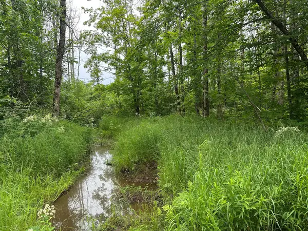 ON Fr 484, Wakefield, MI 49968