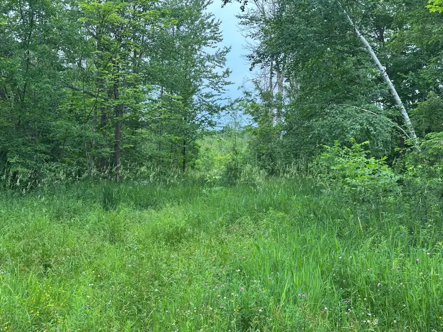ON Fr 484, Wakefield, MI 49968 - #2