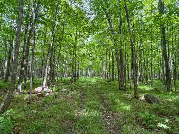 30 acres Dover Rd E, Phillips, WI 54555