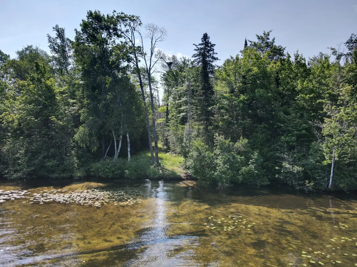 Off Lightning Ln, Phelps, WI 54554 - #1