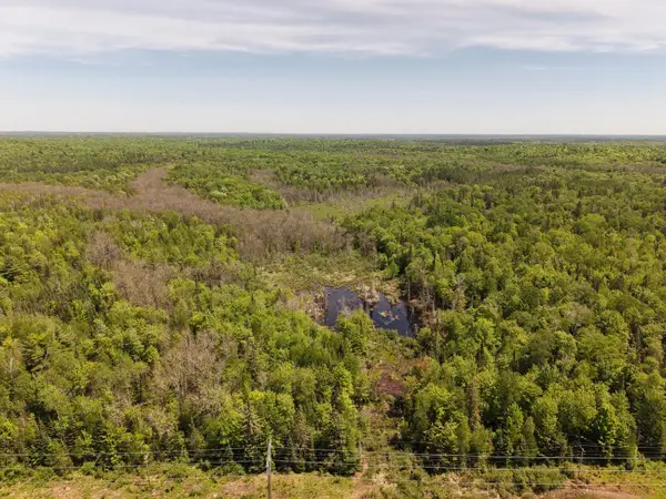 Off Popko Cr W, Mercer, WI 54547