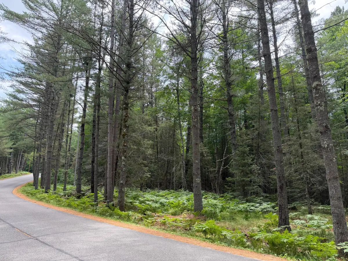 Lot 1 Watersmeet Lake Rd, Eagle River, WI 54521 - #1