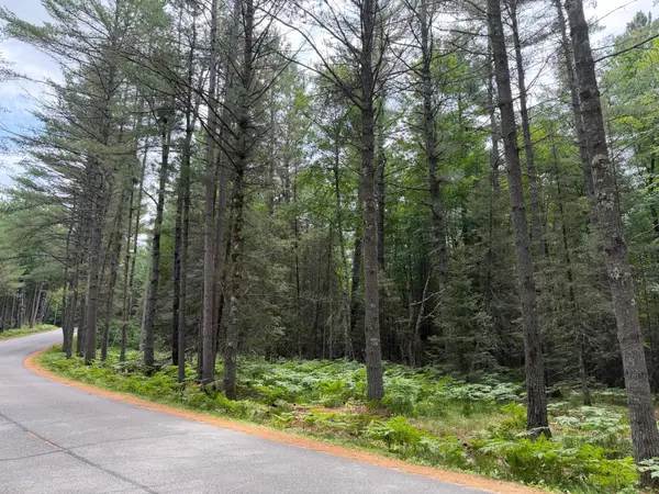 Lot 1 Watersmeet Lake Rd, Eagle River, WI 54521
