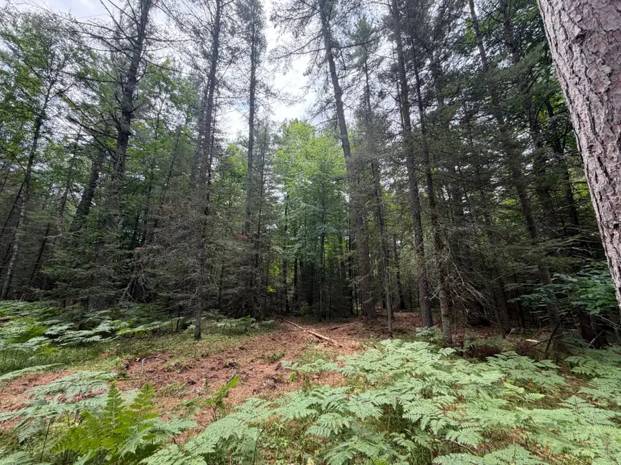 Lot 1 Watersmeet Lake Rd, Eagle River, WI 54521 - #2