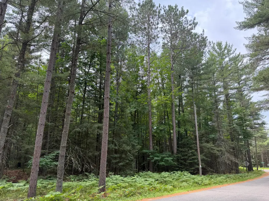 Lot 1 Watersmeet Lake Rd, Eagle River, WI 54521 - #3