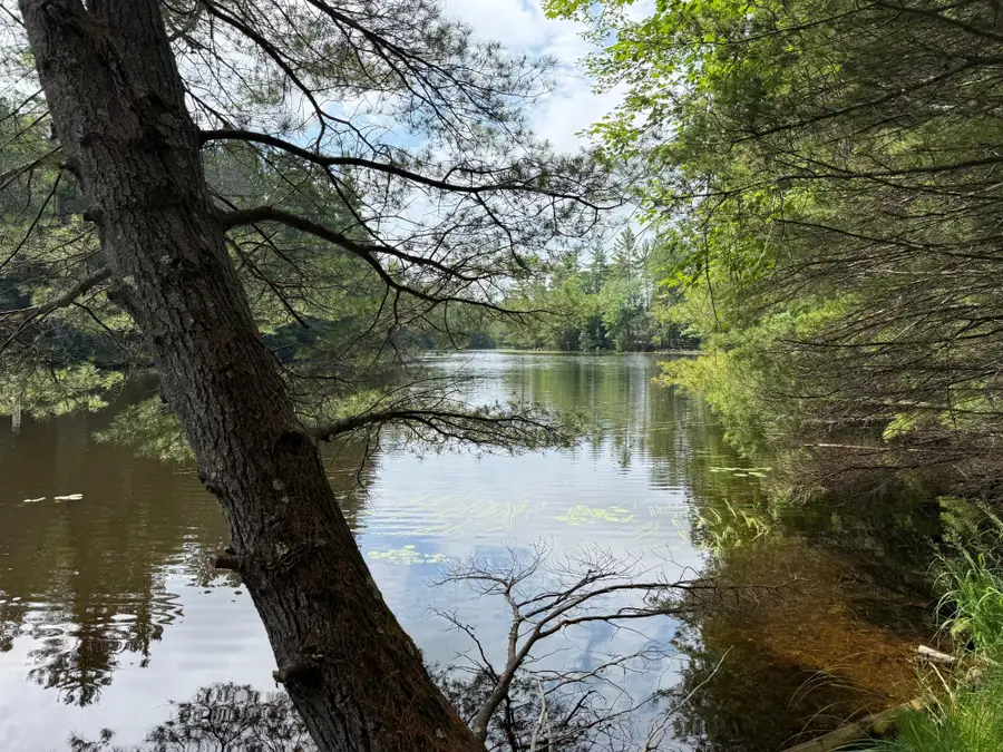 1529 Dam Rd, Eagle River, WI 54521 - #2