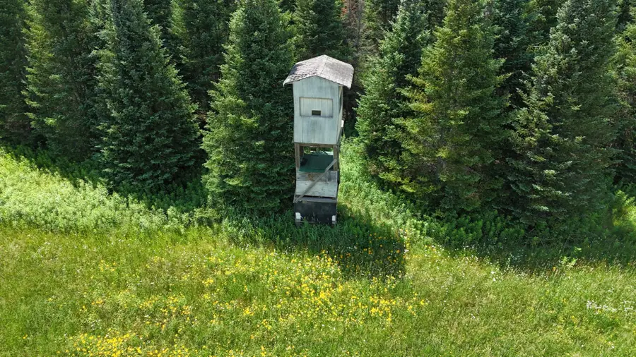 ON Hilmar Olson Rd, Ogema, WI 54459 - #2