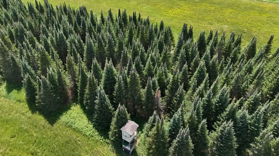 ON Hilmar Olson Rd, Ogema, WI 54459 - #3