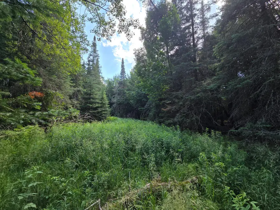 ON Aspen Rd S #40Acres, Phillips, WI 54555 - #2