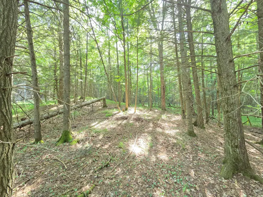 ON Aspen Rd S #40Acres, Phillips, WI 54555 - #3
