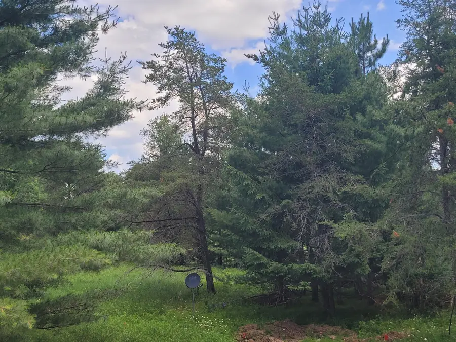 1410 Arbor Vitae Ln, Woodruff, WI 54568 - #3