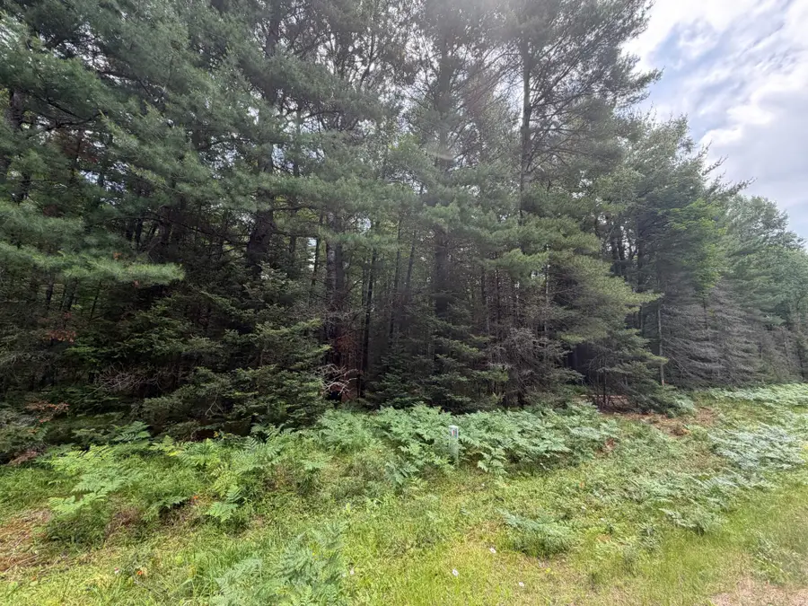 Lot 2 Watersmeet Lake Rd, Eagle River, WI 54521 - #2