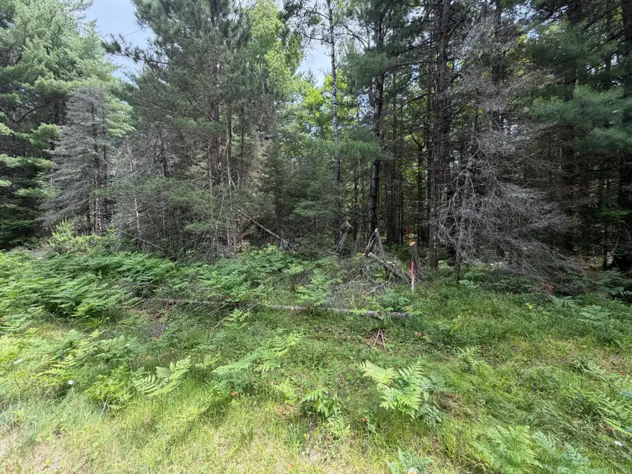 Lot 2 Watersmeet Lake Rd, Eagle River, WI 54521 - #3