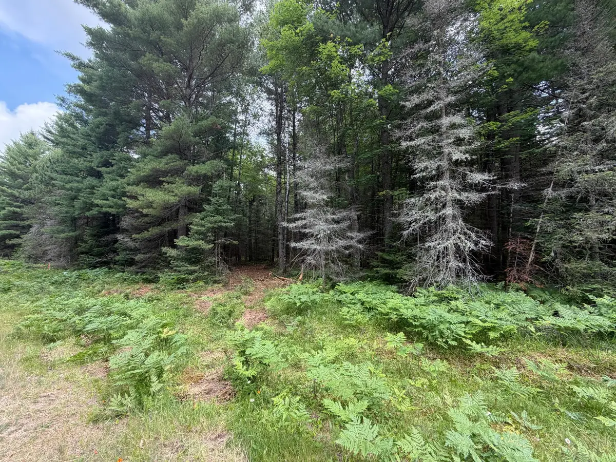 Lot 3 Watersmeet Lake Rd, Eagle River, WI 54521 - #1