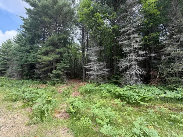 Lot 3 Watersmeet Lake Rd, Eagle River, WI 54521