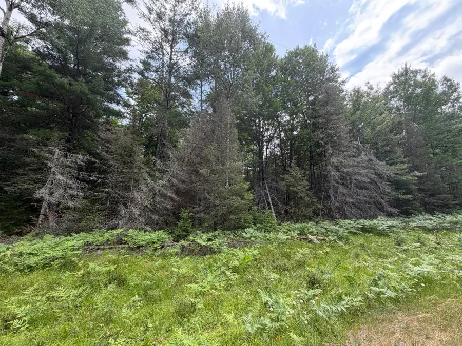 Lot 3 Watersmeet Lake Rd, Eagle River, WI 54521 - #3