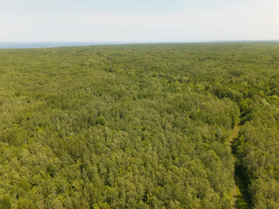 32954 Kingbird Ln, Carp Lake, MI 49953 - #2
