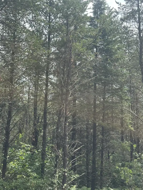 NEAR Cth Y S #Lot 1 RNS, Tomahawk, WI 54487