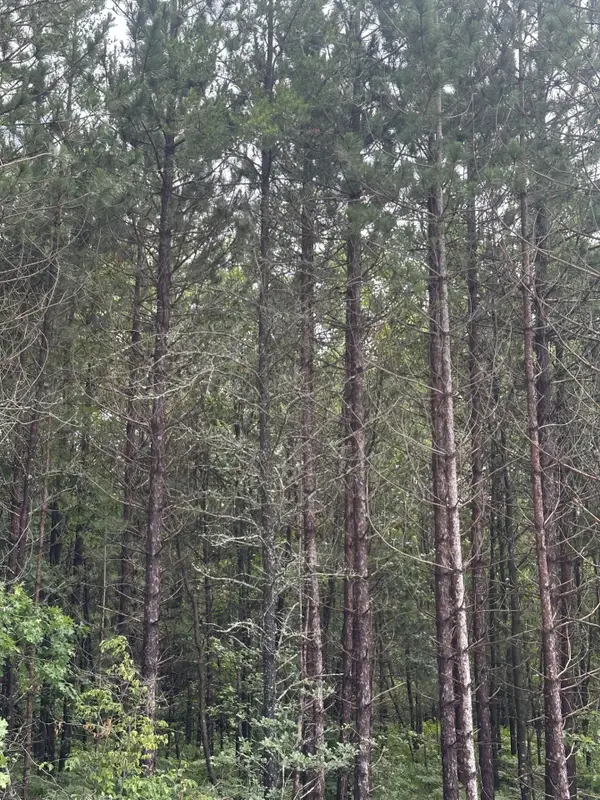 NEAR Cth Y S #Lot 3 RNS, Tomahawk, WI 54487