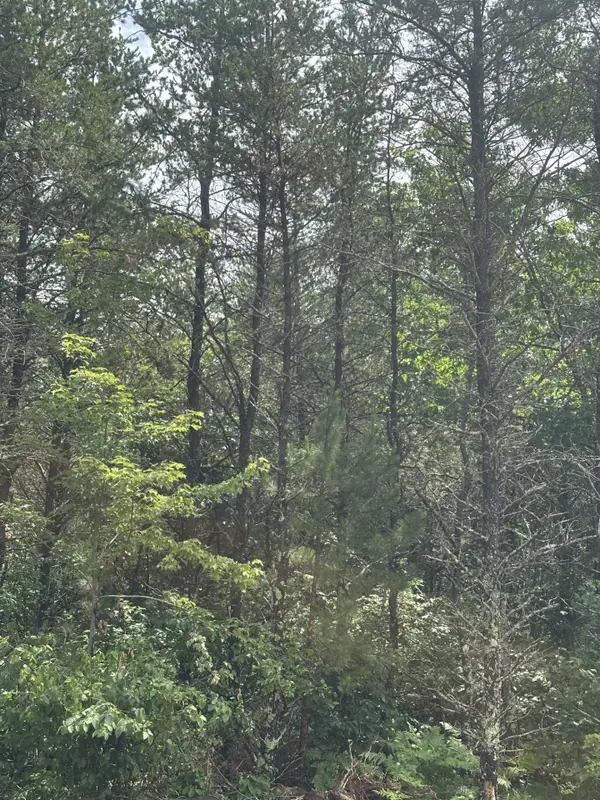 NEAR Cth Y S #Lot 5 RNS, Tomahawk, WI 54487