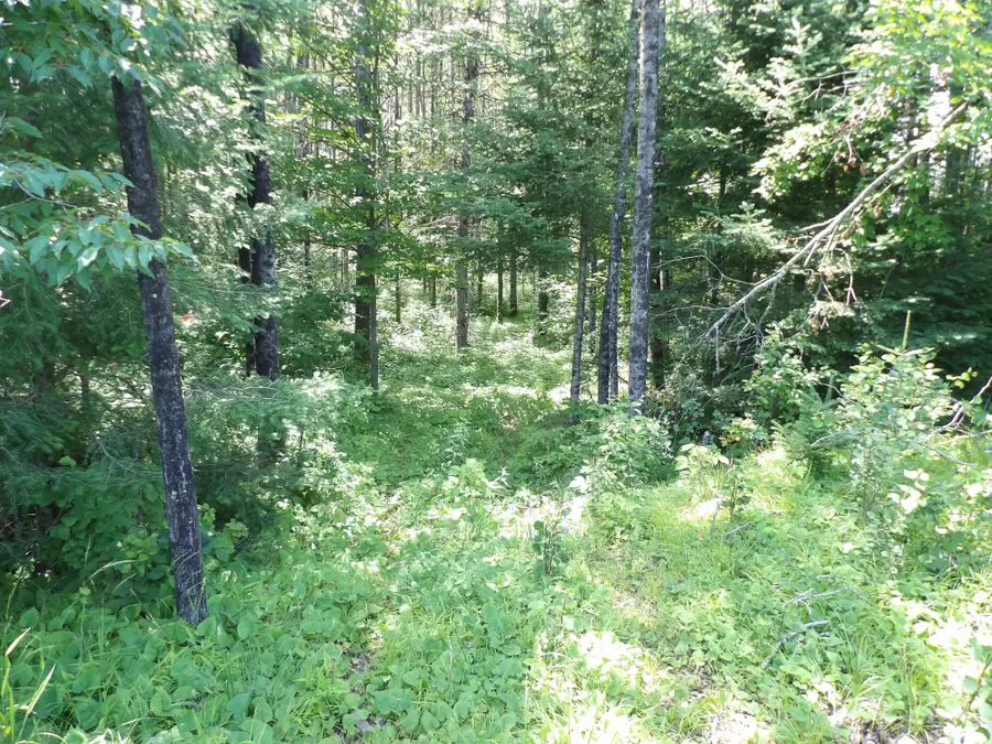 3151-59 Cth W, Crandon, WI 54520 - #3