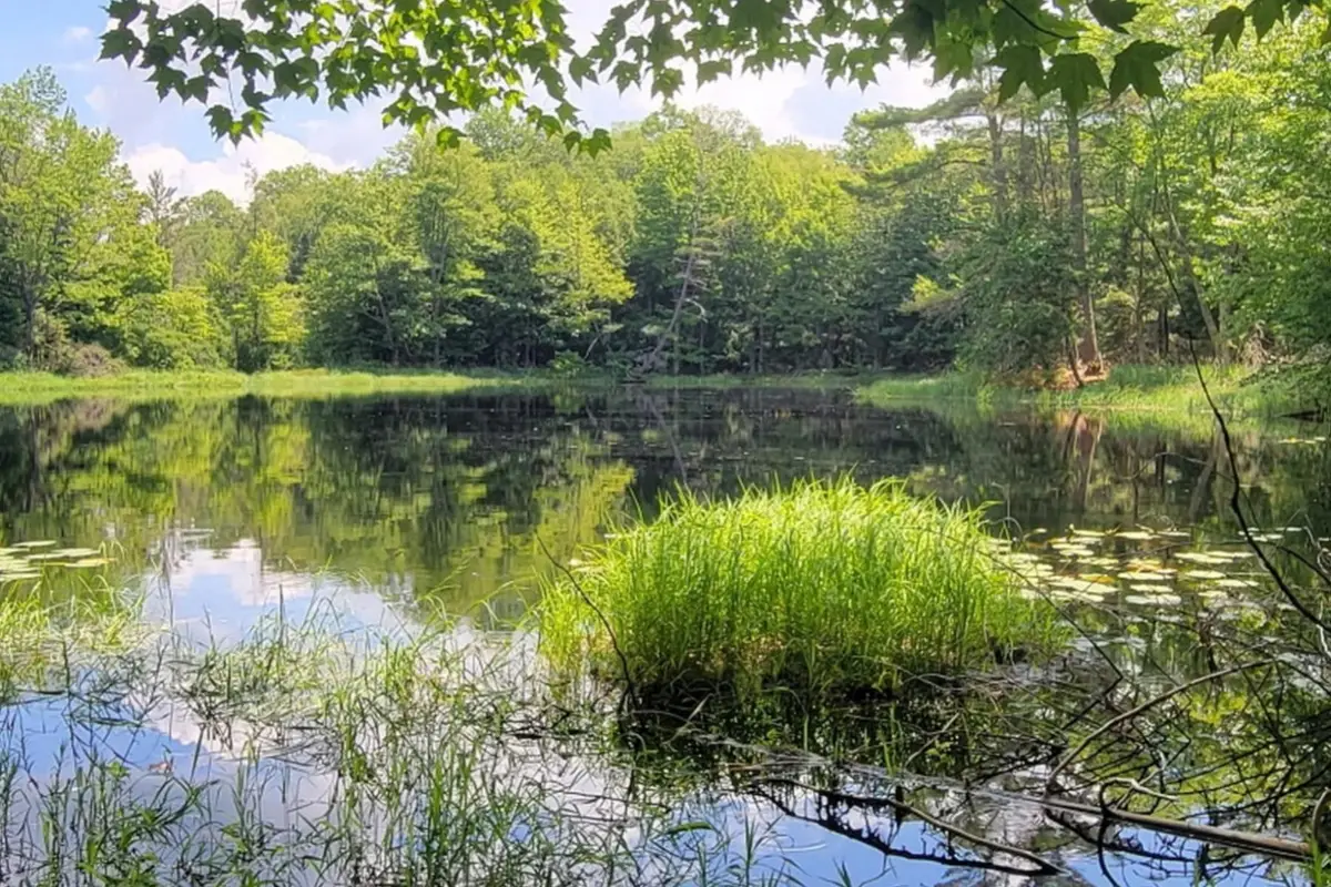 Lot #2 Moonshine Valley Rd, Presque Isle, WI 54557 - #1