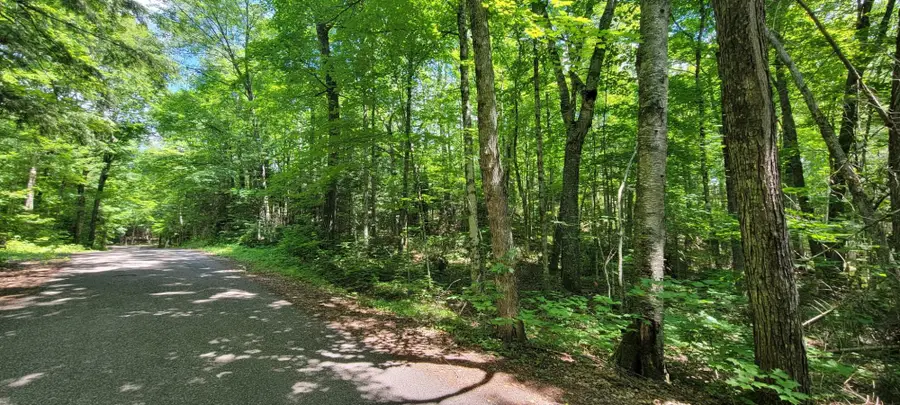 Lot #2 Moonshine Valley Rd, Presque Isle, WI 54557 - #2