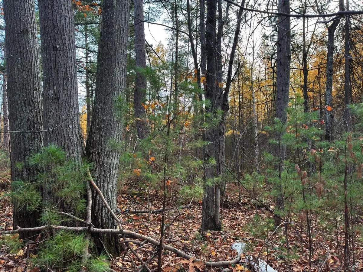 ON Moss Lake Dr, Lac Du Flambeau, WI 54538 - #1