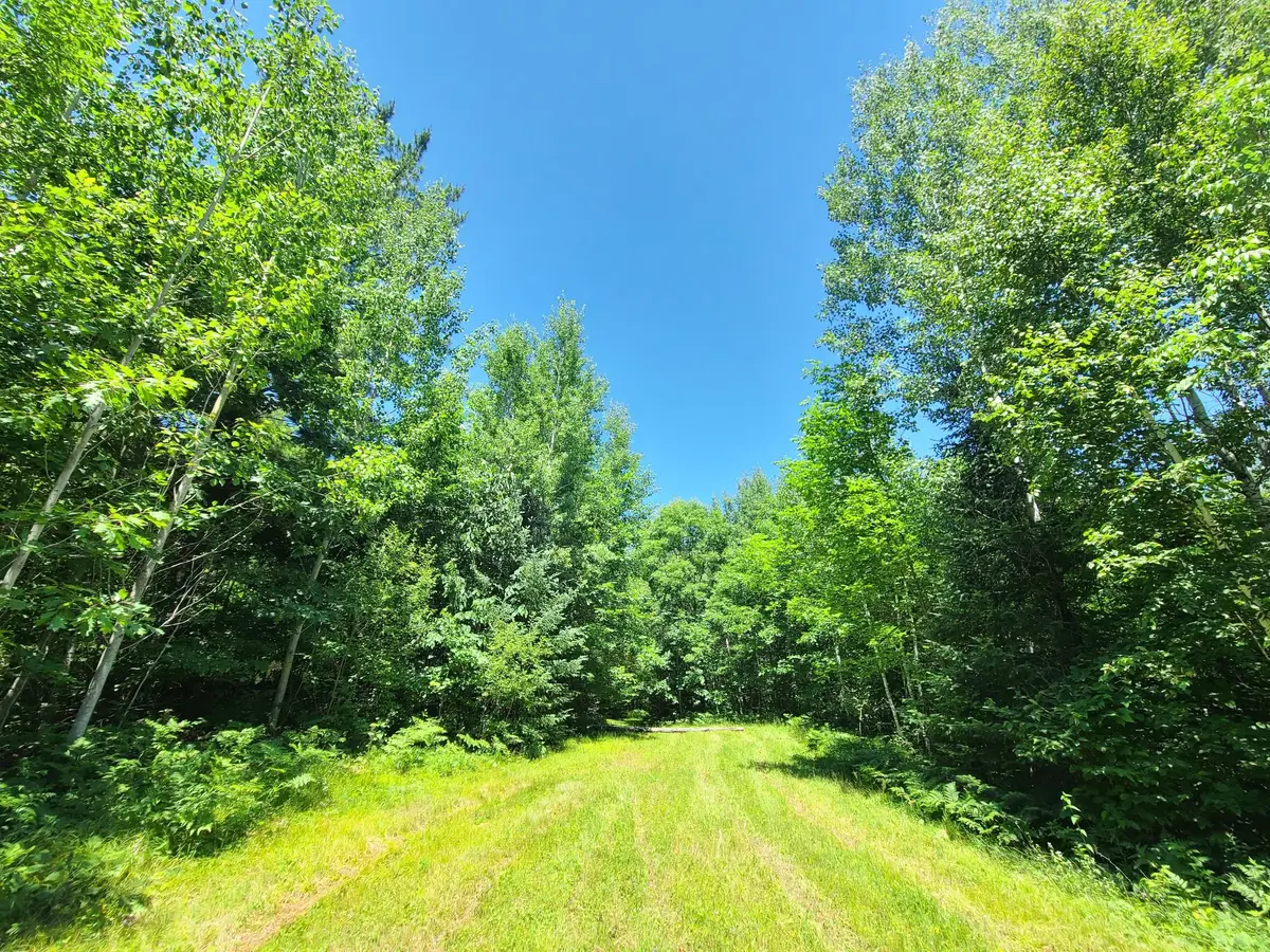 ON Simon Rd #78Acres, Fifield, WI 54524 - #1