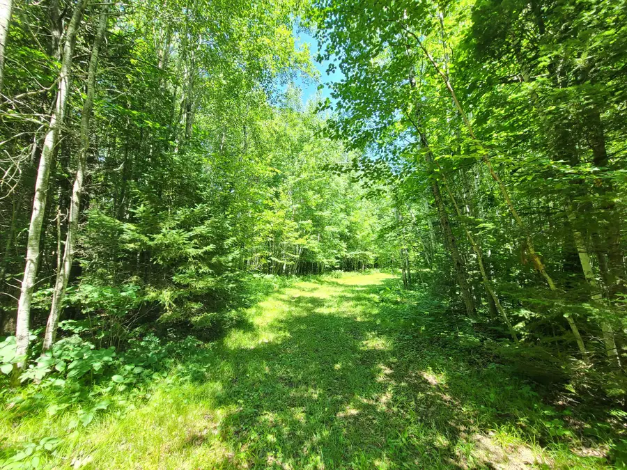 ON Simon Rd #78Acres, Fifield, WI 54524 - #3