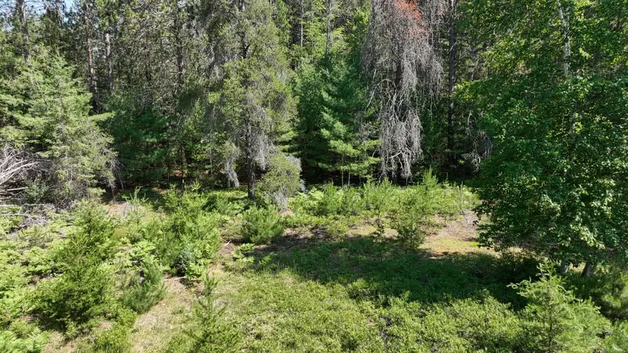 3877 Lakeshore Dr, Rhinelander, WI 54501 - #3