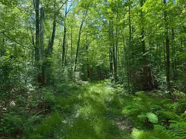 00 Wonder Rd, Phillips, WI 54555 - #1